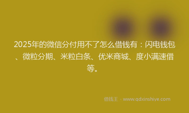 2025年的微信分付用不了怎么借钱有：闪电钱包、微粒分期、米粒白条、优米商城、度小满速借等。
