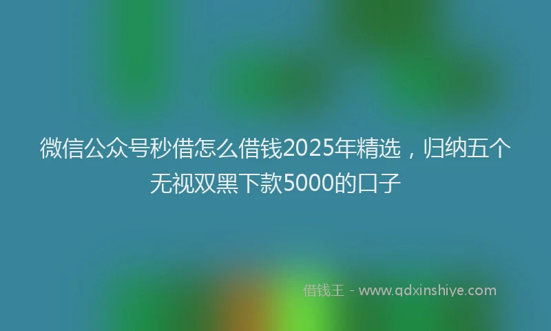 微信公众号秒借怎么借钱2025年精选，归纳五个无视双黑下款5000的口子