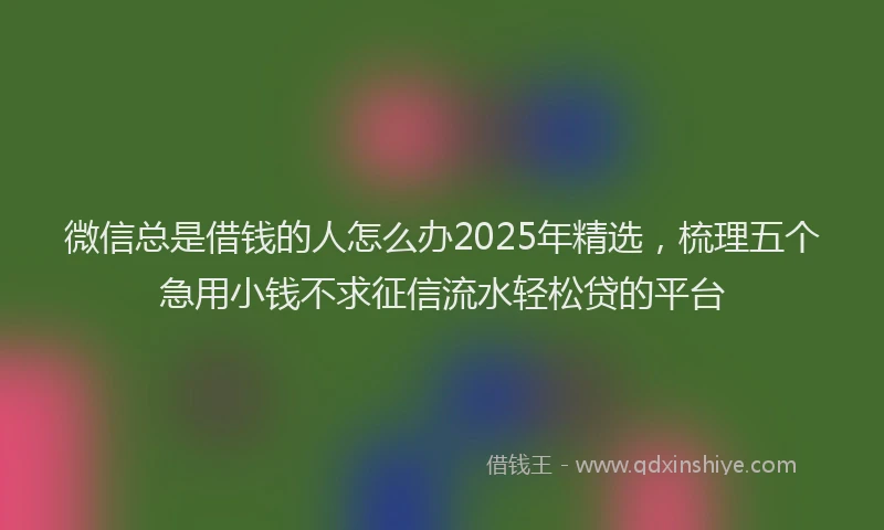 微信总是借钱的人怎么办2025年精选，梳理五个急用小钱不求征信流水轻松贷的平台