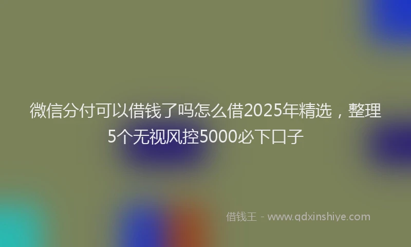微信分付可以借钱了吗怎么借2025年精选，整理5个无视风控5000必下口子