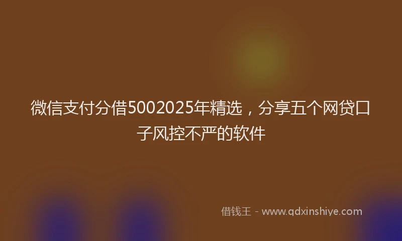 微信支付分借5002025年精选，分享五个网贷口子风控不严的软件