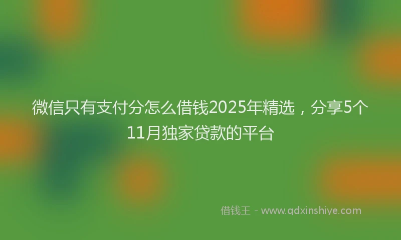 微信只有支付分怎么借钱2025年精选，分享5个11月独家贷款的平台