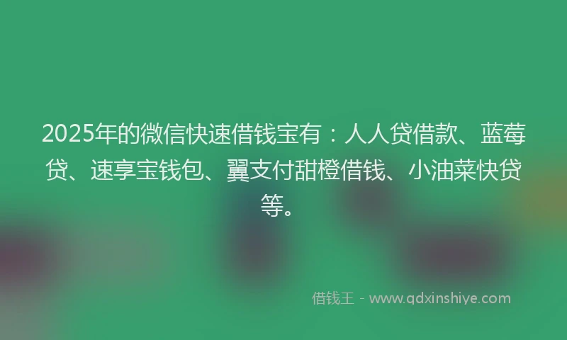 2025年的微信快速借钱宝有：人人贷借款、蓝莓贷、速享宝钱包、翼支付甜橙借钱、小油菜快贷等。