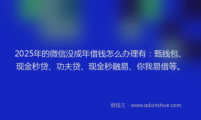 2025年的微信没成年借钱怎么办理有：甄钱包、现金秒贷、功夫贷、现金秒融易、你我易借等。