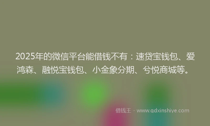 2025年的微信平台能借钱不有：速贷宝钱包、爱鸿森、融悦宝钱包、小金象分期、兮悦商城等。