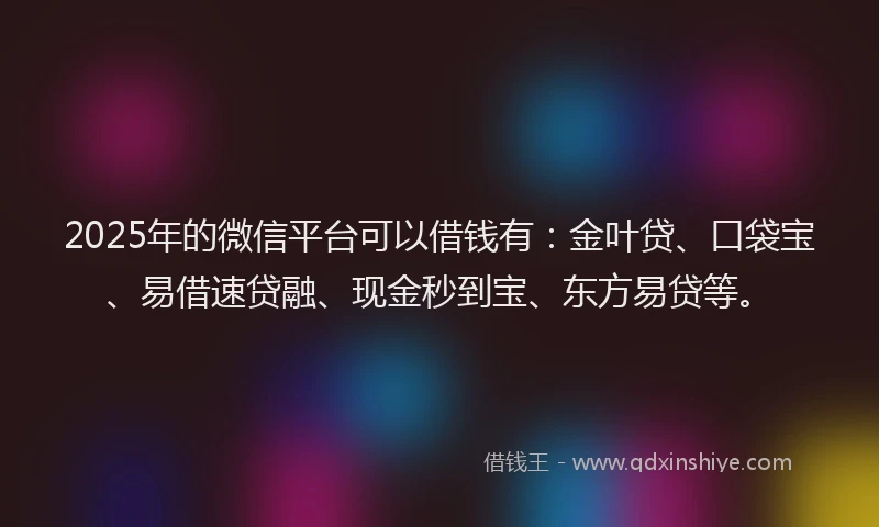 2025年的微信平台可以借钱有：金叶贷、口袋宝、易借速贷融、现金秒到宝、东方易贷等。