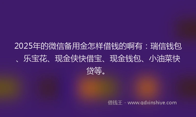 2025年的微信备用金怎样借钱的啊有：瑞信钱包、乐宝花、现金侠快借宝、现金钱包、小油菜快贷等。