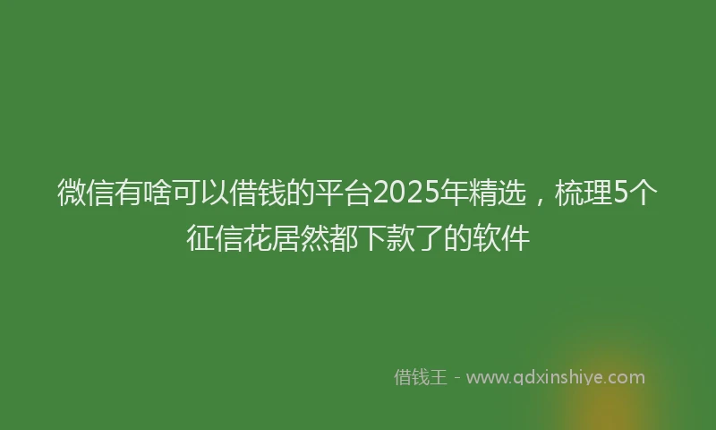 微信有啥可以借钱的平台2025年精选，梳理5个征信花居然都下款了的软件