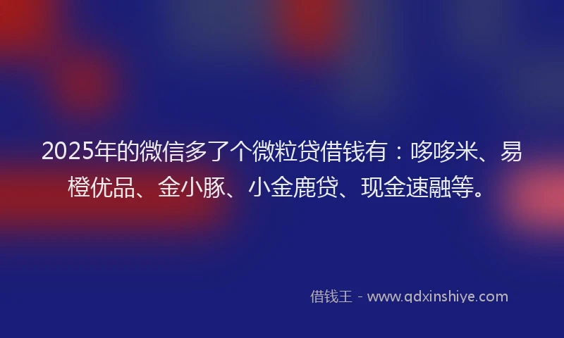 2025年的微信多了个微粒贷借钱有：哆哆米、易橙优品、金小豚、小金鹿贷、现金速融等。