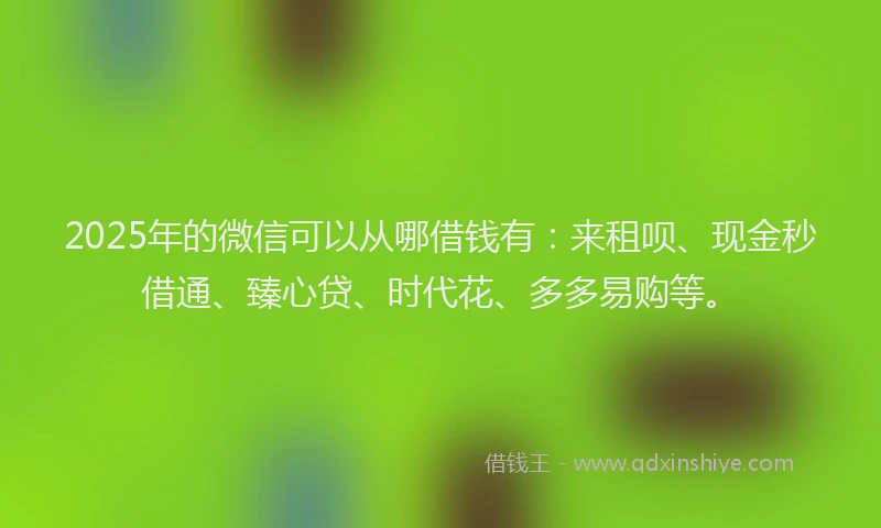 2025年的微信可以从哪借钱有：来租呗、现金秒借通、臻心贷、时代花、多多易购等。