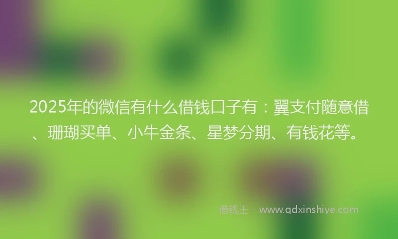 2025年的微信有什么借钱口子有：翼支付随意借、珊瑚买单、小牛金条、星梦分期、有钱花等。