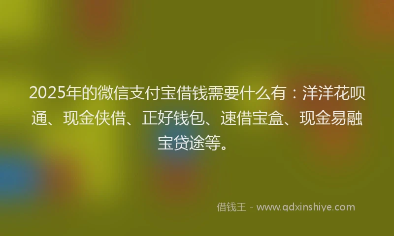 2025年的微信支付宝借钱需要什么有：洋洋花呗通、现金侠借、正好钱包、速借宝盒、现金易融宝贷途等。