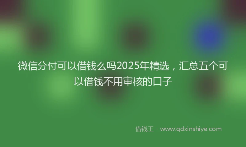 微信分付可以借钱么吗2025年精选，汇总五个可以借钱不用审核的口子