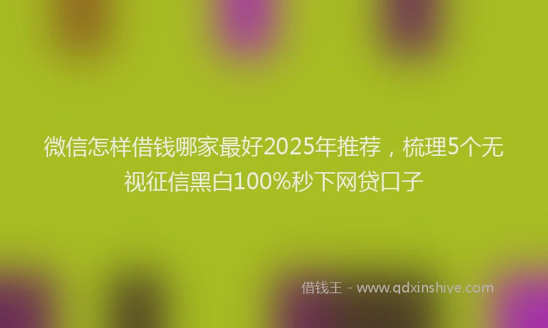 微信怎样借钱哪家最好2025年推荐，梳理5个无视征信黑白100%秒下网贷口子