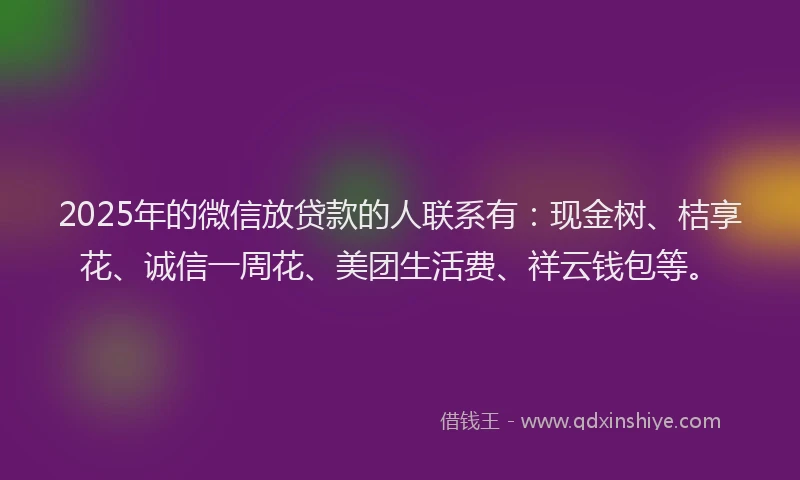 2025年的微信放贷款的人联系有：现金树、桔享花、诚信一周花、美团生活费、祥云钱包等。