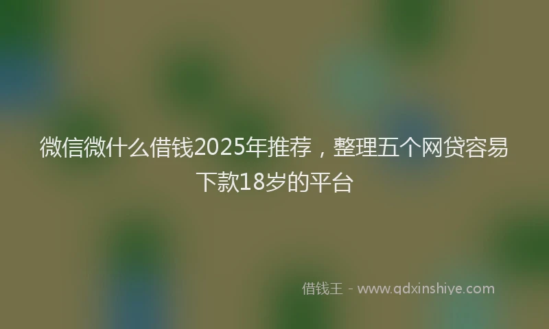 微信微什么借钱2025年推荐，整理五个网贷容易下款18岁的平台
