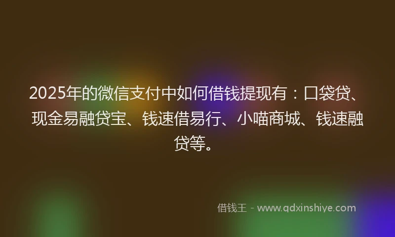 2025年的微信支付中如何借钱提现有：口袋贷、现金易融贷宝、钱速借易行、小喵商城、钱速融贷等。