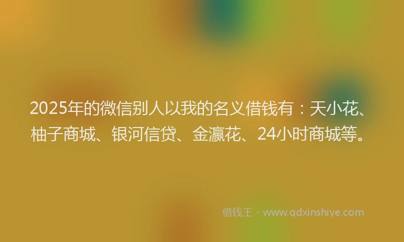 2025年的微信别人以我的名义借钱有：天小花、柚子商城、银河信贷、金瀛花、24小时商城等。