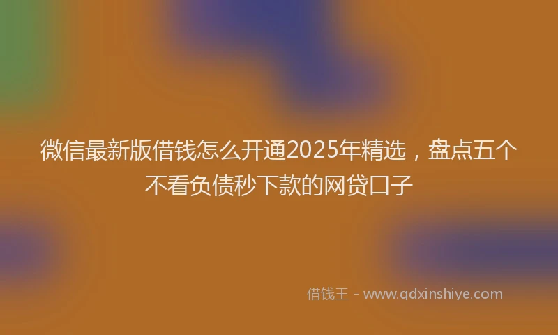 微信最新版借钱怎么开通2025年精选，盘点五个不看负债秒下款的网贷口子