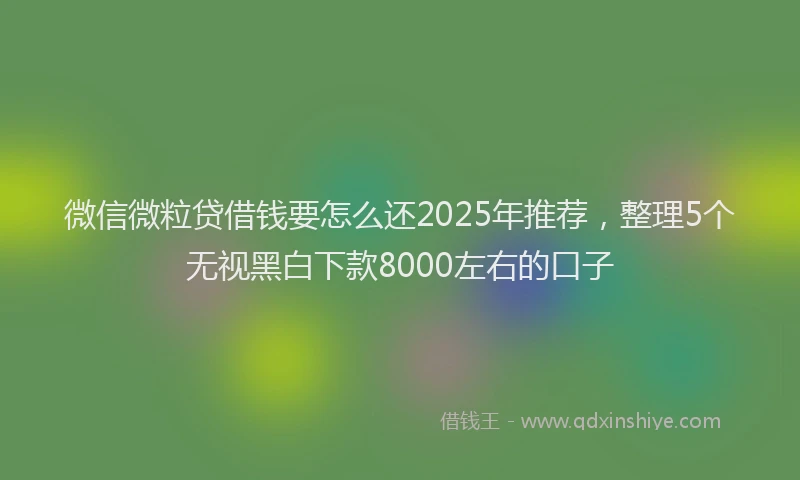 微信微粒贷借钱要怎么还2025年推荐，整理5个无视黑白下款8000左右的口子