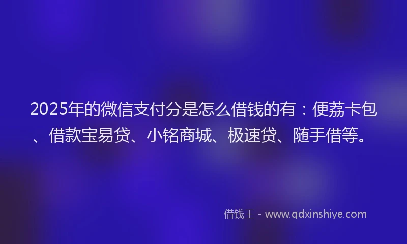 2025年的微信支付分是怎么借钱的有：便荔卡包、借款宝易贷、小铭商城、极速贷、随手借等。