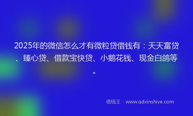2025年的微信怎么才有微粒贷借钱有：天天富贷、臻心贷、借款宝快贷、小鹅花钱、现金白鸽等。