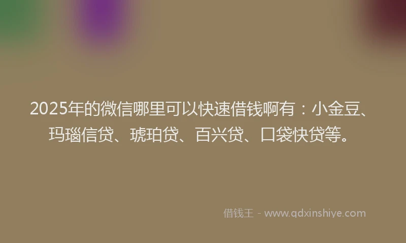 2025年的微信哪里可以快速借钱啊有：小金豆、玛瑙信贷、琥珀贷、百兴贷、口袋快贷等。