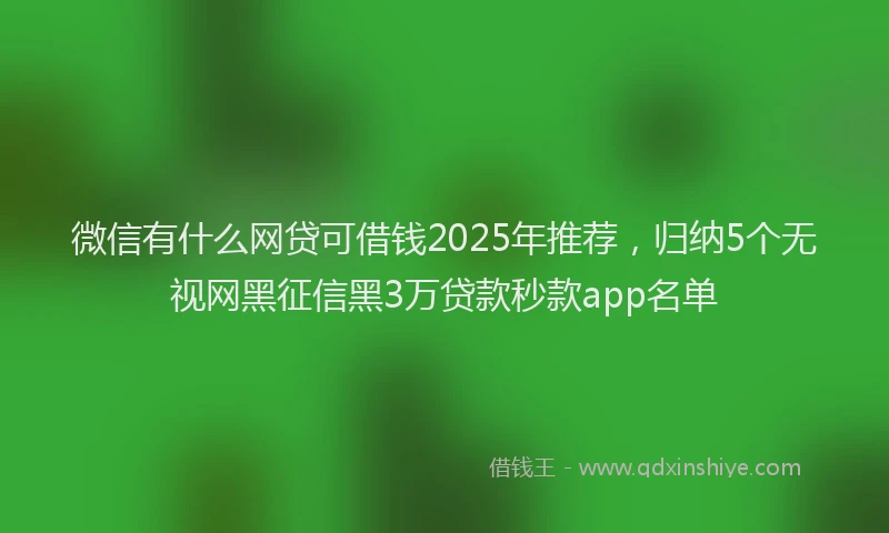 微信有什么网贷可借钱2025年推荐，归纳5个无视网黑征信黑3万贷款秒款app名单