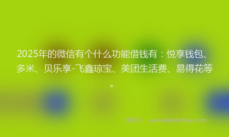 2025年的微信有个什么功能借钱有：悦享钱包、多米、贝乐享-飞鑫琼宝、美团生活费、易得花等。