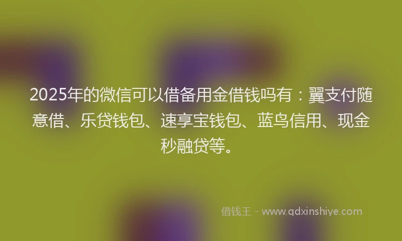 2025年的微信可以借备用金借钱吗有：翼支付随意借、乐贷钱包、速享宝钱包、蓝鸟信用、现金秒融贷等。