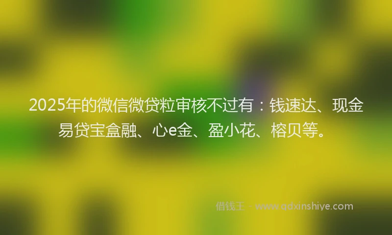 2025年的微信微贷粒审核不过有：钱速达、现金易贷宝盒融、心e金、盈小花、榕贝等。