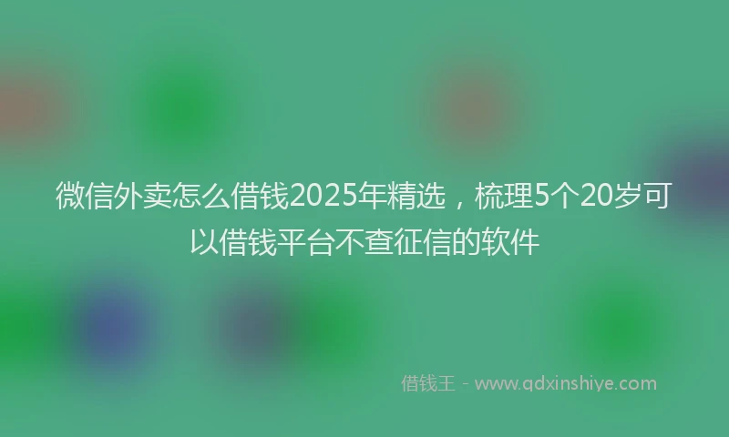 微信外卖怎么借钱2025年精选，梳理5个20岁可以借钱平台不查征信的软件