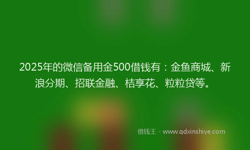 2025年的微信备用金500借钱有：金鱼商城、新浪分期、招联金融、桔享花、粒粒贷等。