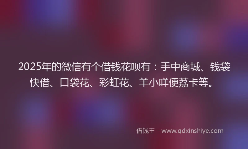 2025年的微信有个借钱花呗有：手中商城、钱袋快借、口袋花、彩虹花、羊小咩便荔卡等。