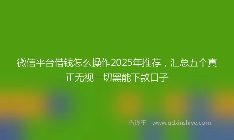 微信平台借钱怎么操作2025年推荐，汇总五个真正无视一切黑能下款口子