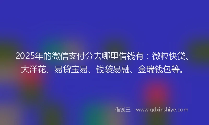 2025年的微信支付分去哪里借钱有：微粒快贷、大洋花、易贷宝易、钱袋易融、金瑞钱包等。
