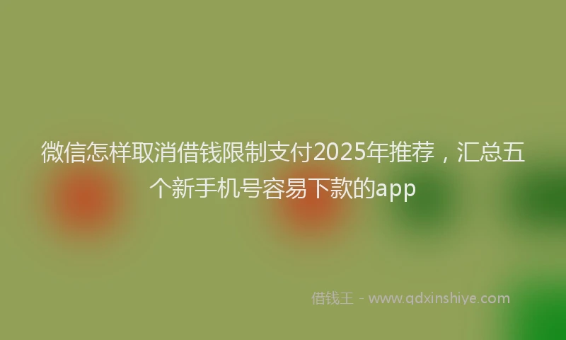 微信怎样取消借钱限制支付2025年推荐，汇总五个新手机号容易下款的app