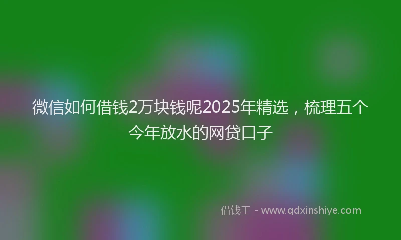 微信如何借钱2万块钱呢2025年精选，梳理五个今年放水的网贷口子