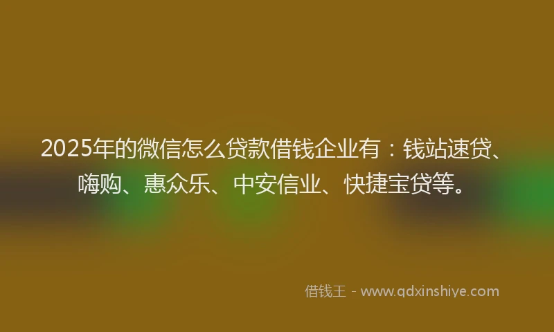 2025年的微信怎么贷款借钱企业有：钱站速贷、嗨购、惠众乐、中安信业、快捷宝贷等。
