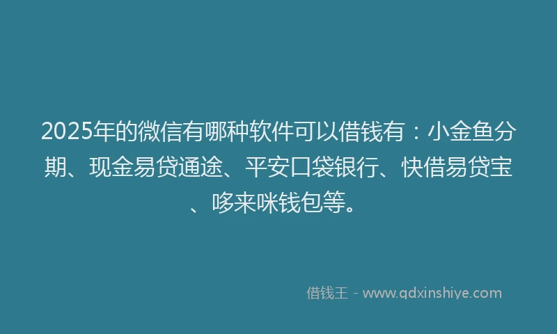 2025年的微信有哪种软件可以借钱有：小金鱼分期、现金易贷通途、平安口袋银行、快借易贷宝、哆来咪钱包等。