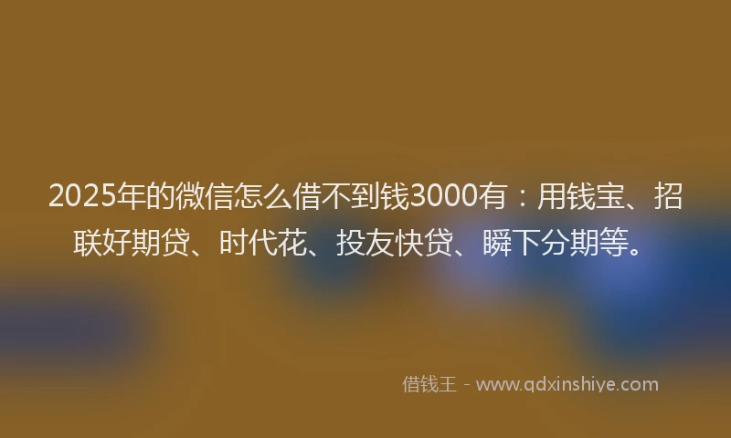 2025年的微信怎么借不到钱3000有：用钱宝、招联好期贷、时代花、投友快贷、瞬下分期等。