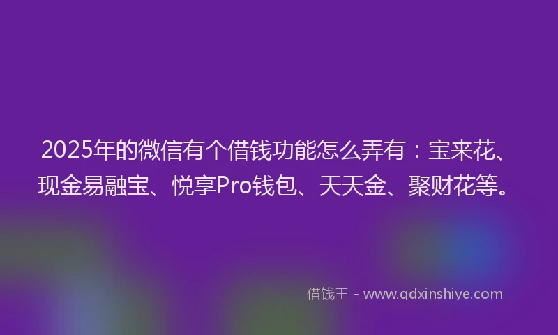 2025年的微信有个借钱功能怎么弄有：宝来花、现金易融宝、悦享Pro钱包、天天金、聚财花等。