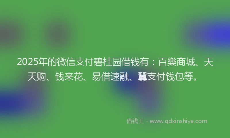 2025年的微信支付碧桂园借钱有：百樂商城、天天购、钱来花、易借速融、翼支付钱包等。