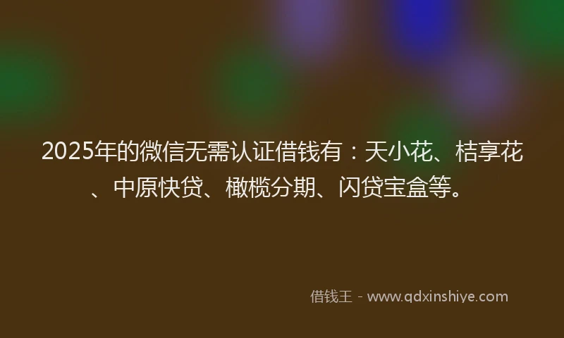 2025年的微信无需认证借钱有：天小花、桔享花、中原快贷、橄榄分期、闪贷宝盒等。