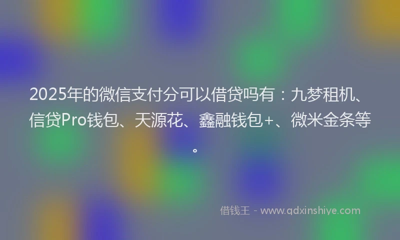 2025年的微信支付分可以借贷吗有：九梦租机、信贷Pro钱包、天源花、鑫融钱包+、微米金条等。