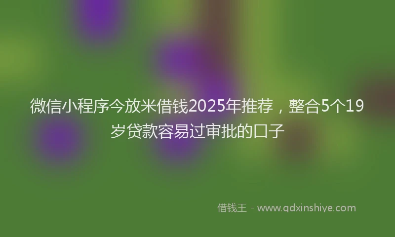 微信小程序今放米借钱2025年推荐，整合5个19岁贷款容易过审批的口子