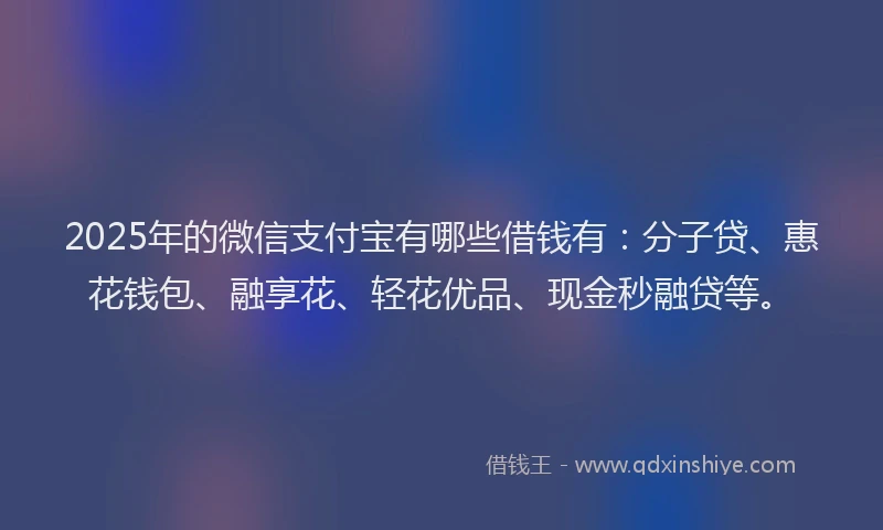 2025年的微信支付宝有哪些借钱有：分子贷、惠花钱包、融享花、轻花优品、现金秒融贷等。