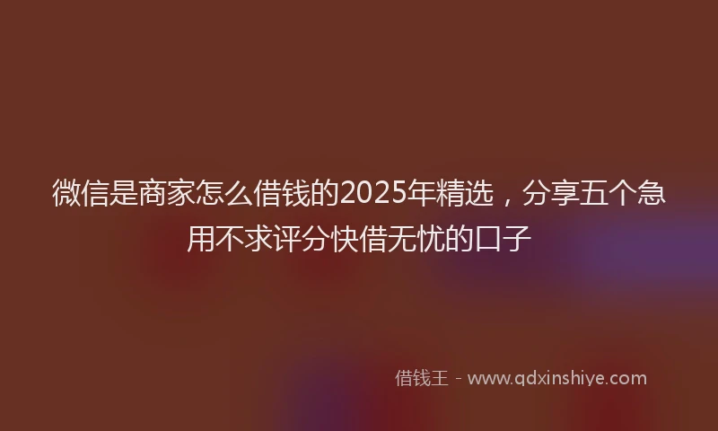 微信是商家怎么借钱的2025年精选，分享五个急用不求评分快借无忧的口子