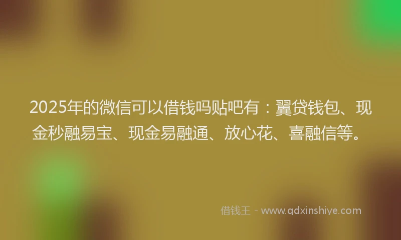 2025年的微信可以借钱吗贴吧有：翼贷钱包、现金秒融易宝、现金易融通、放心花、喜融信等。