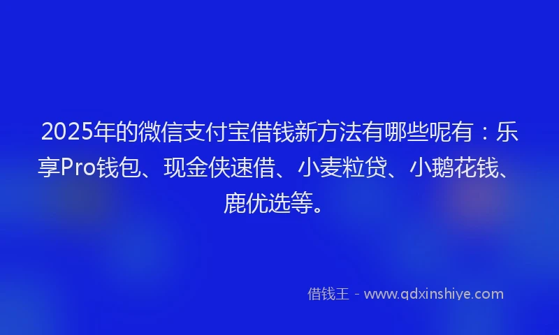 2025年的微信支付宝借钱新方法有哪些呢有：乐享Pro钱包、现金侠速借、小麦粒贷、小鹅花钱、鹿优选等。